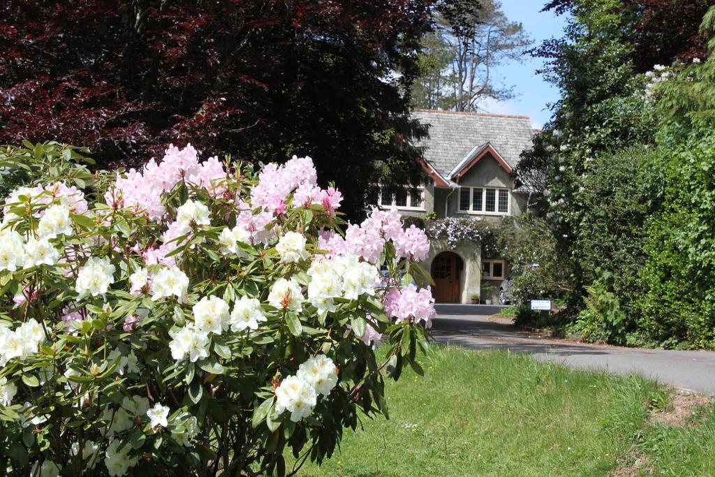 Knapp House Lodges East Anstey Exteriör bild